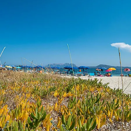 Del Cormorano * Olbia